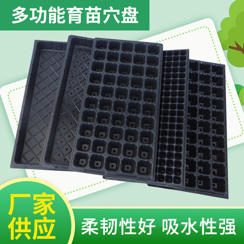 Nursery Plug Trays