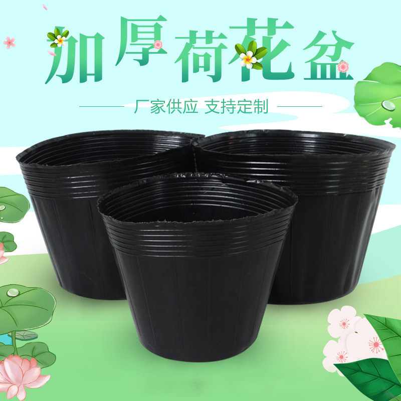 No-hole aquatic planter bowl for pond retail display