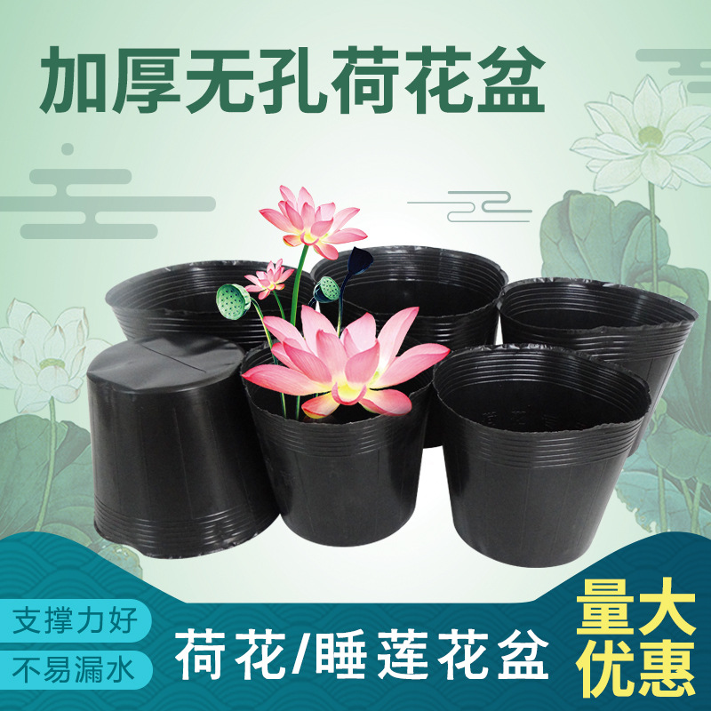 Commercial plastic pond planter for lotus propagation
