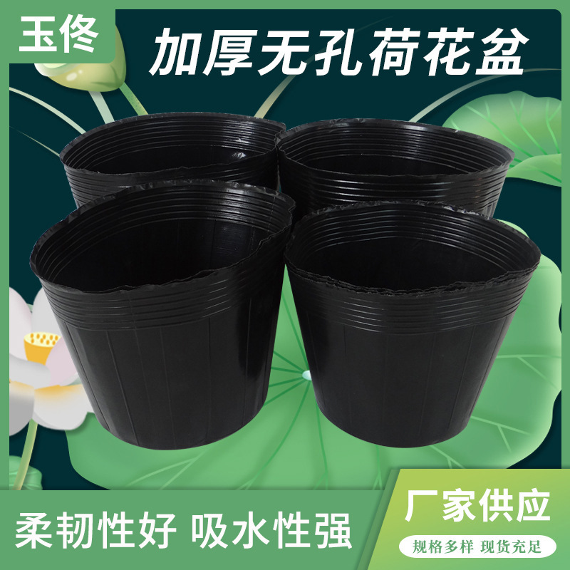 Thick Aquatic Planter