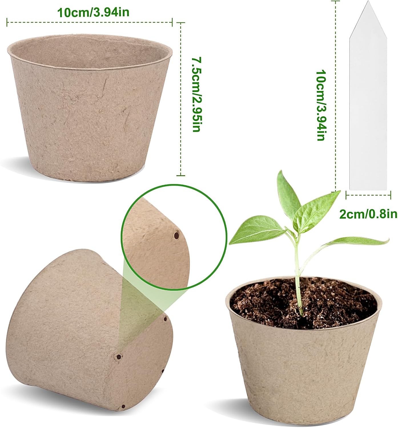 Peat seed starter kit with plant labels for greenhouse use