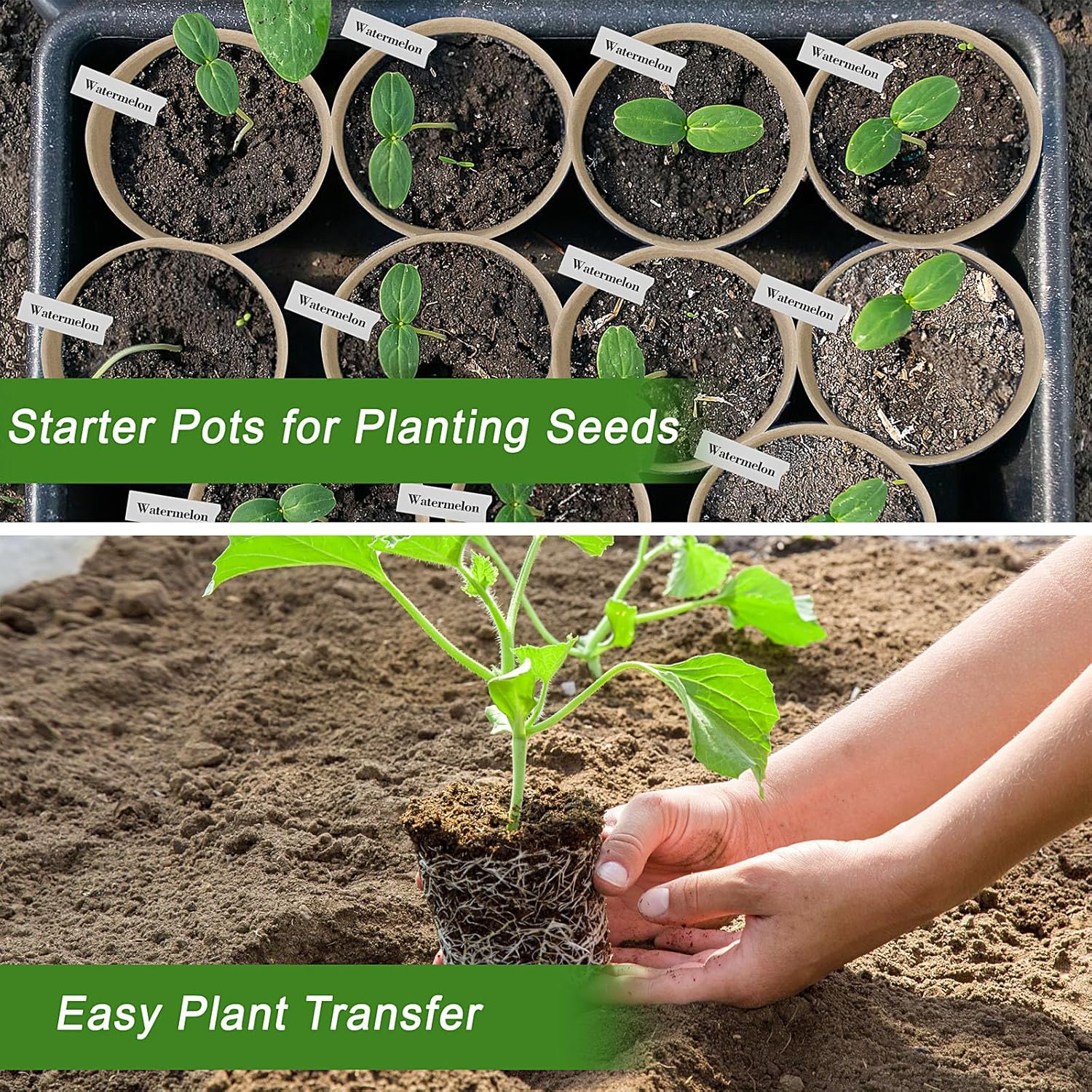 Fiber peat pots for vegetables herbs and flowers seed starting