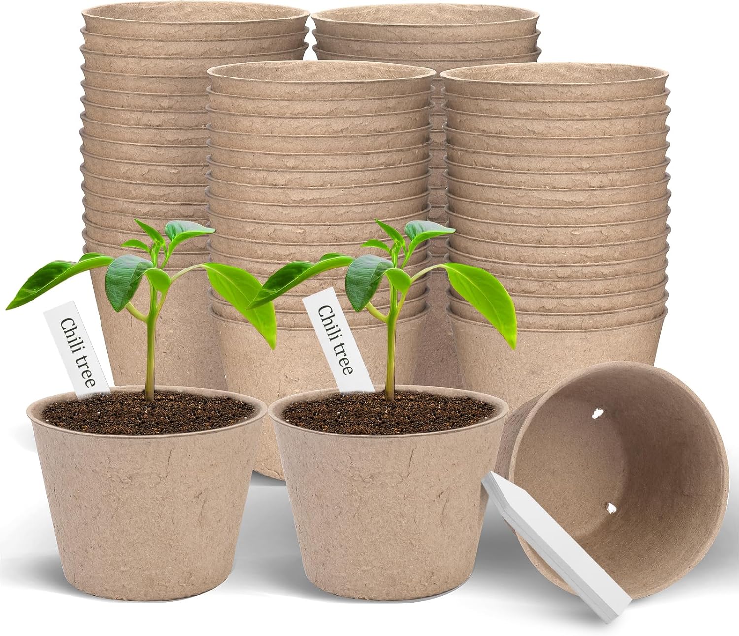 Biodegradable Peat Pots